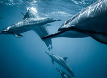 MK体育平台-NG28：引领效率新纪元的智能革新